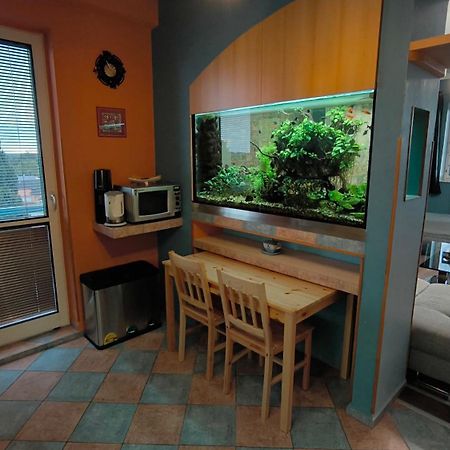 Suk Apartman 24 Suchdol nad Luznici Exterior photo